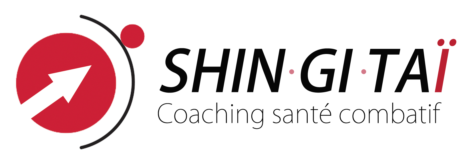 Logo SGT Coaching 2023 Logo SGT Coaching 2023
